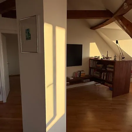 Sous Les Toits Apartment
